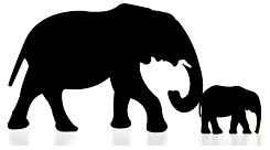 nudging elephant